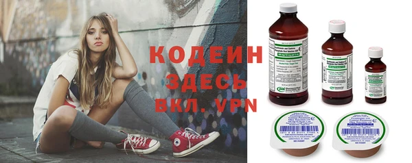 стафф Осинники