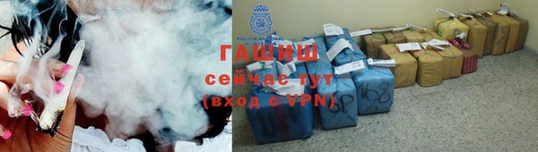 стафф Осинники
