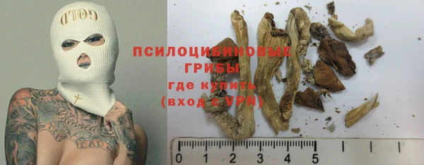 стафф Осинники