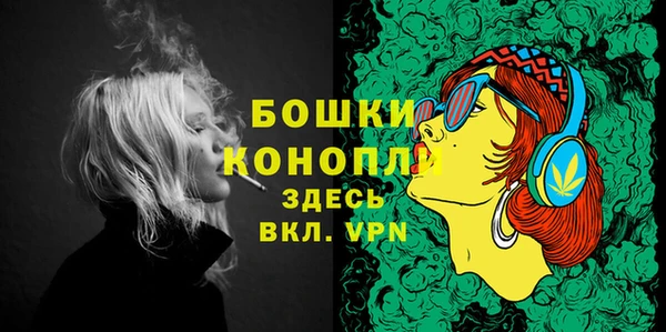 стафф Осинники